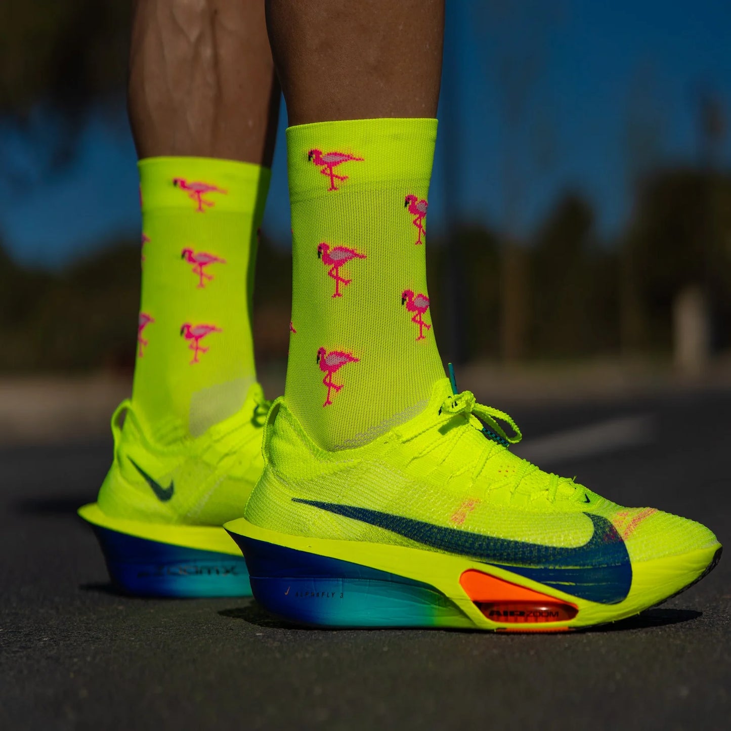FLAMINGO - RUNNING SOCKS