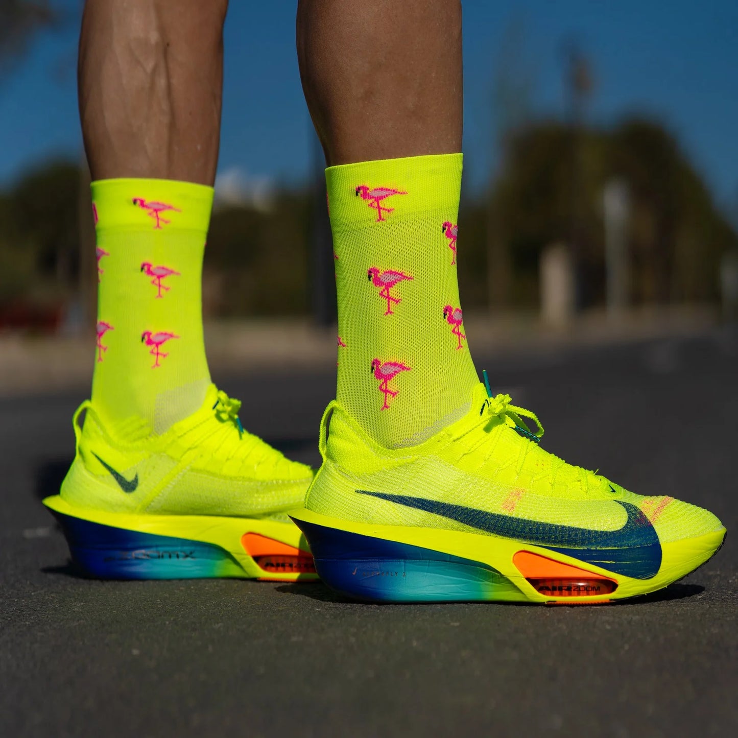 FLAMINGO - RUNNING SOCKS